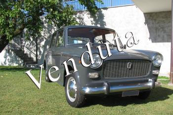 Fiat 1100 D 1964